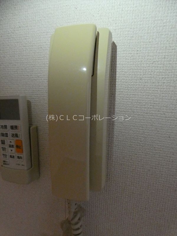 スプリング・サン その他11