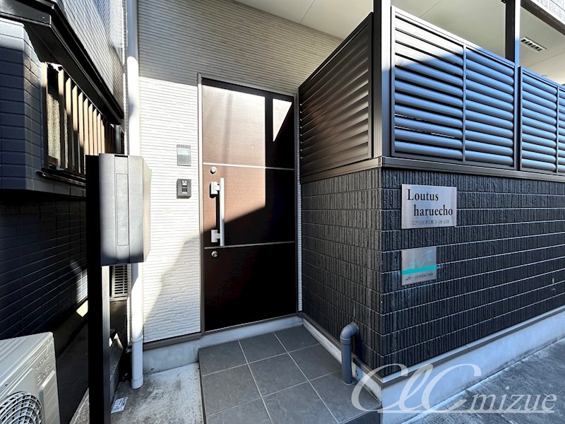 Loutus haruecho その他6