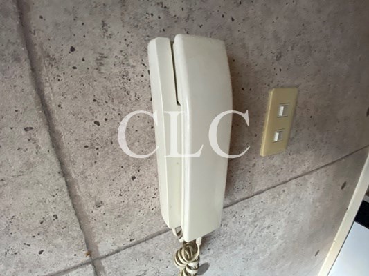 ベルドミール王子 その他1