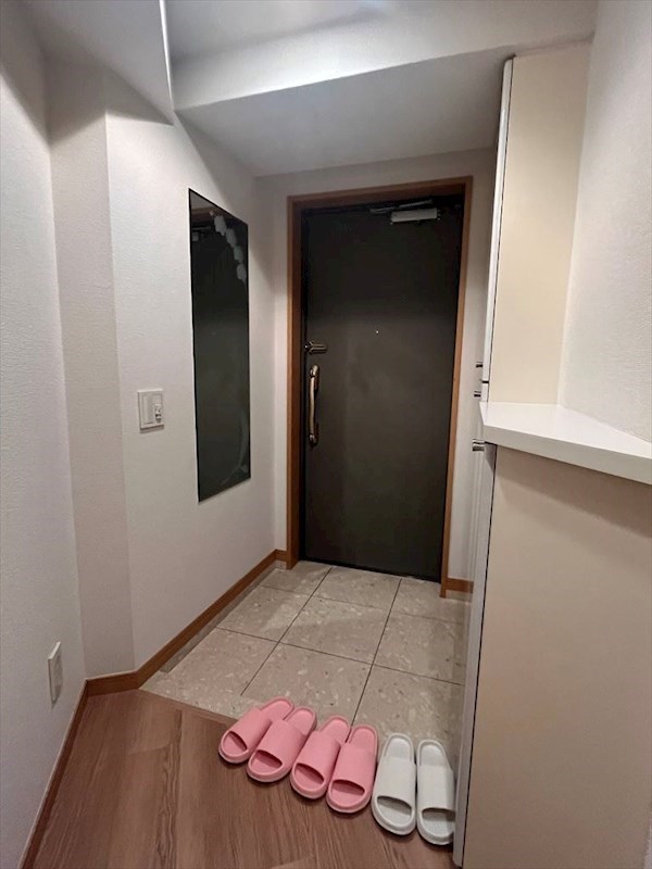 アピス日暮里  玄関