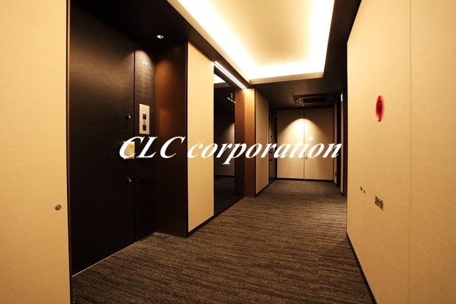 ミレアコート銀座プレミア その他10