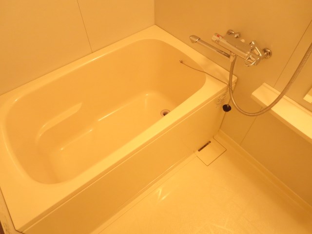 パークアクシス亀戸  風呂画像