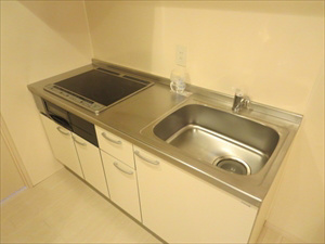 岩井ハイツ キッチン