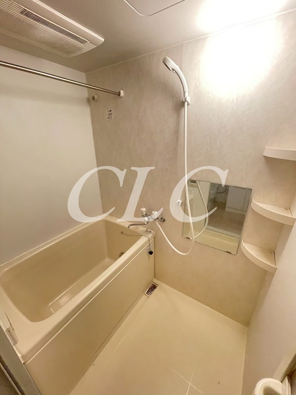 プロムナード岩楯   風呂画像