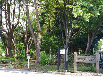 プレール・ドゥーク木場親水公園 周辺画像1