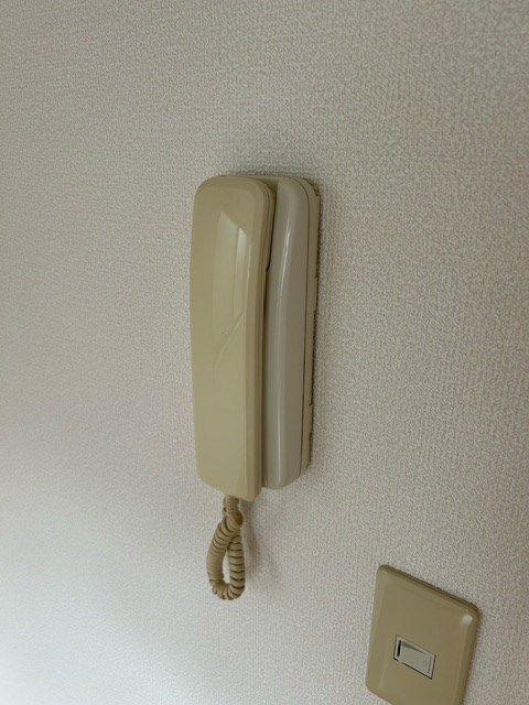 シオンセット    その他7