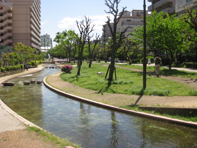 グランカーサ両国壱番館  周辺画像9