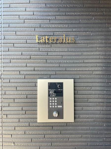 Ｌａｔｅｒａｌｕｓ  その他1