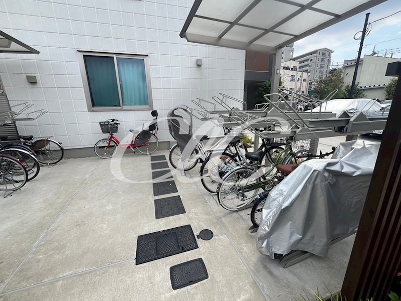 ＳＴＥＬＬＡ　ＣＡＳＡ その他7