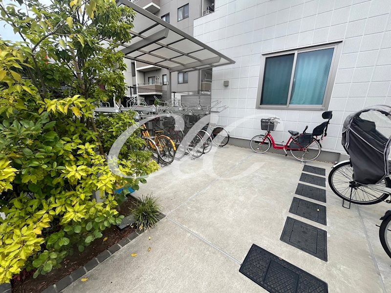 ＳＴＥＬＬＡ　ＣＡＳＡ その他8