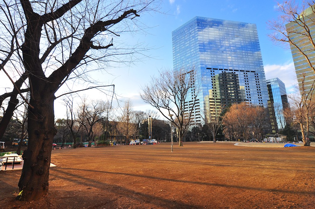 弥生町1丁目戸建 周辺画像5