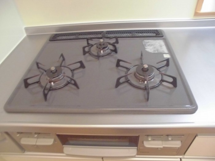 オアシス　パティオ その他9