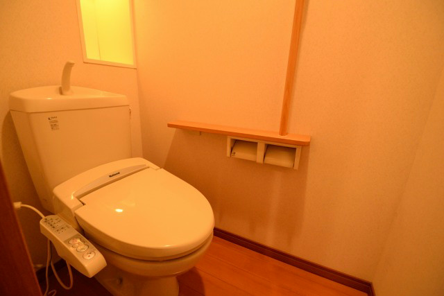 ロイヤルパークス新田 その他3