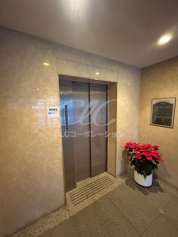 レピドール福田 その他8