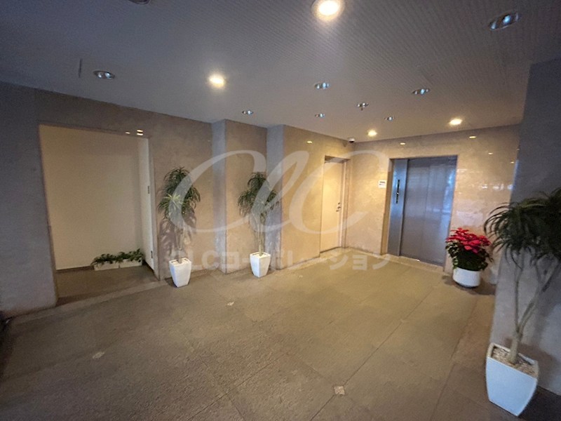 レピドール福田 その他10