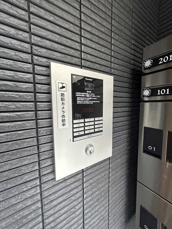 ミコ　ケヤキ その他1