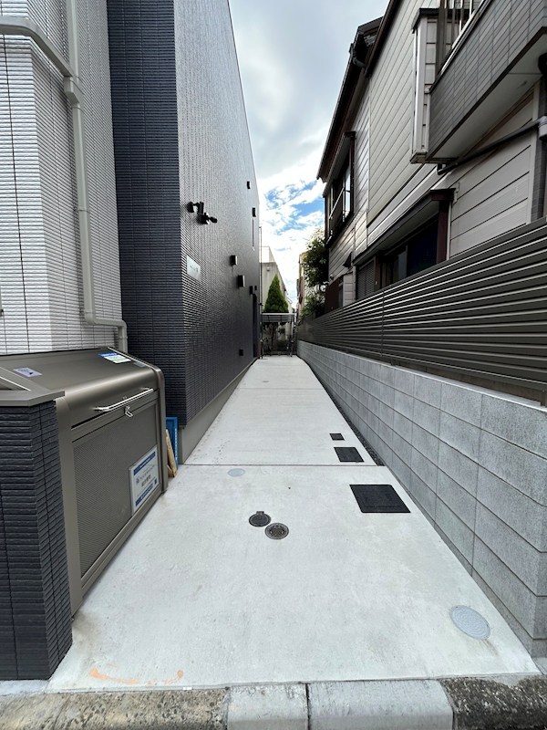 ミコ　ケヤキ その他2