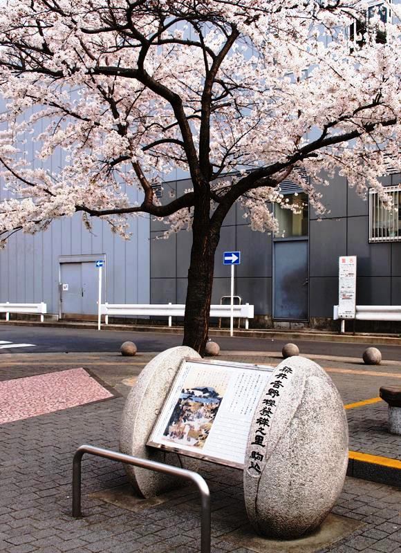 藤和シティホームズ駒込駅前 周辺画像10