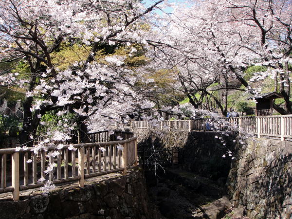 ヒルズ飛鳥山 周辺画像1