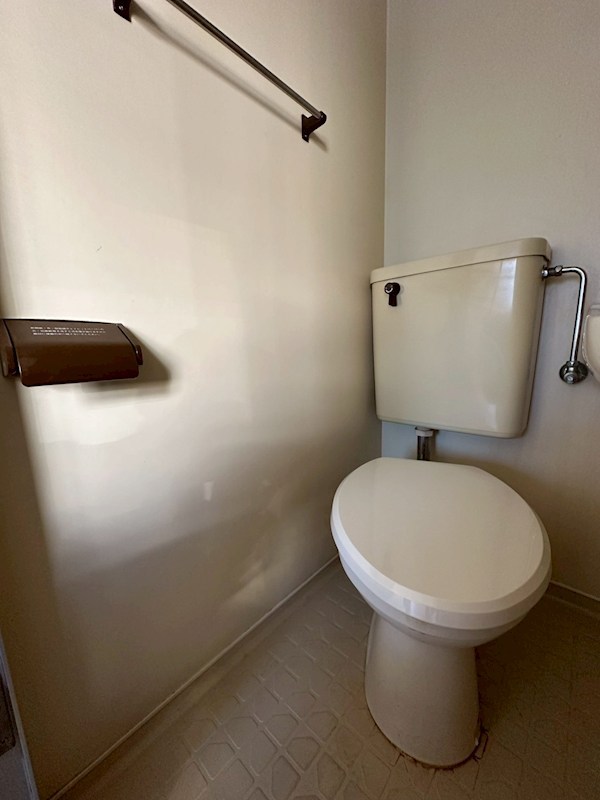 シャガール その他2