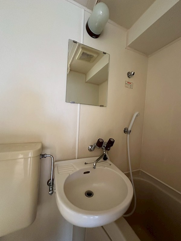 シャガール その他3