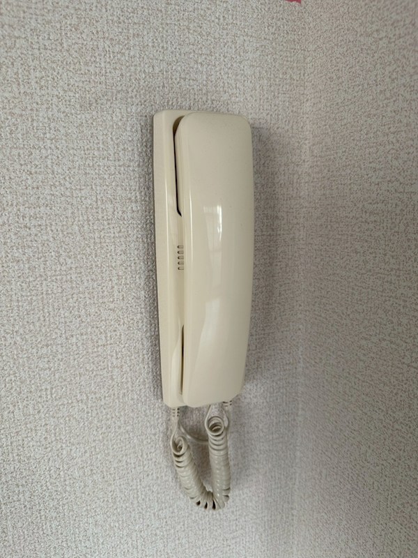 シャガール その他5