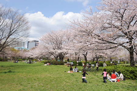 プロスペクト恩賜公園 周辺画像3