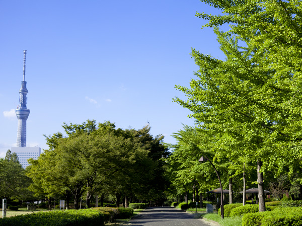 プロスペクト恩賜公園 周辺画像4