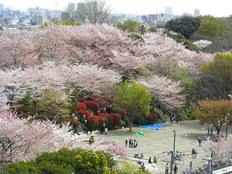 ガーラ飛鳥山公園  周辺画像7