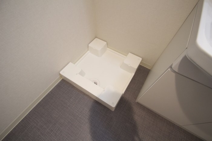 ホーリーホック その他4