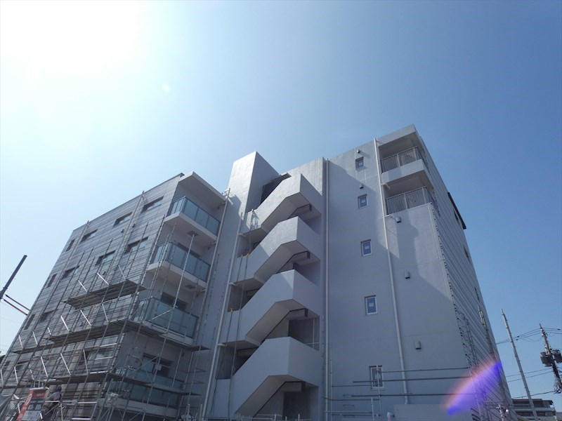 ホーリーホック その他7