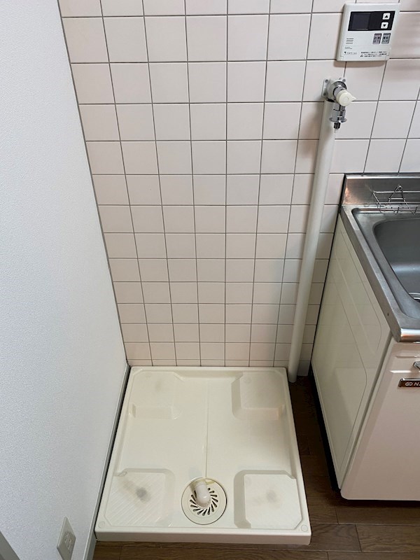 パレーシャル鈴木 その他6