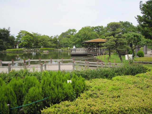 アークプラザ荒川公園 周辺画像7