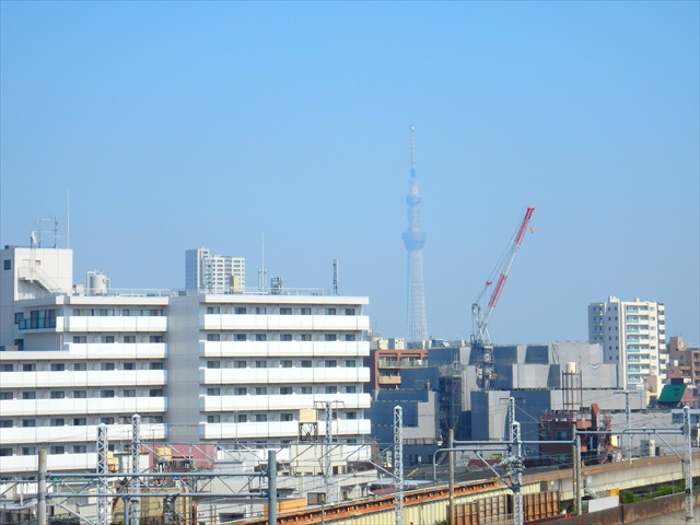 アルビオン田端  その他13