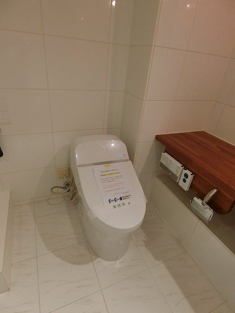 カスタリア銀座 その他4