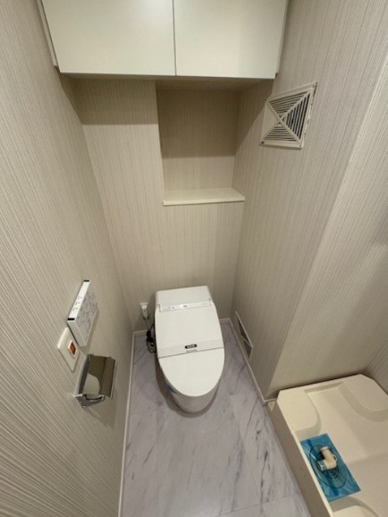 カスタリア銀座Ⅲ その他2