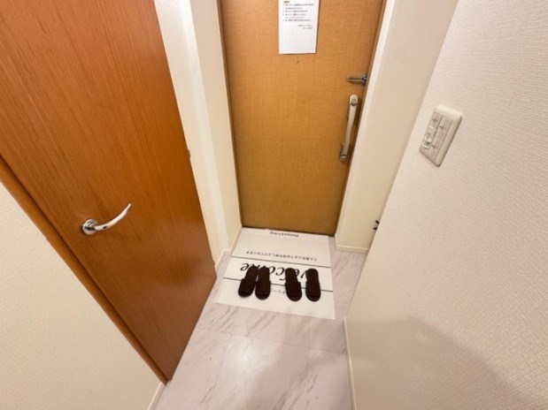 カスタリア銀座Ⅲ 玄関