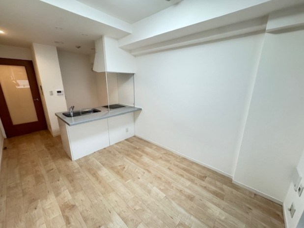 カスタリア銀座Ⅲ リビング