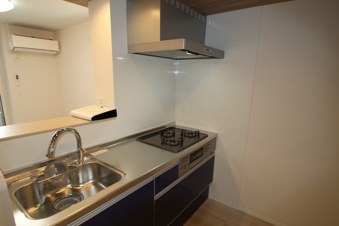 Grande CarroⅢ キッチン