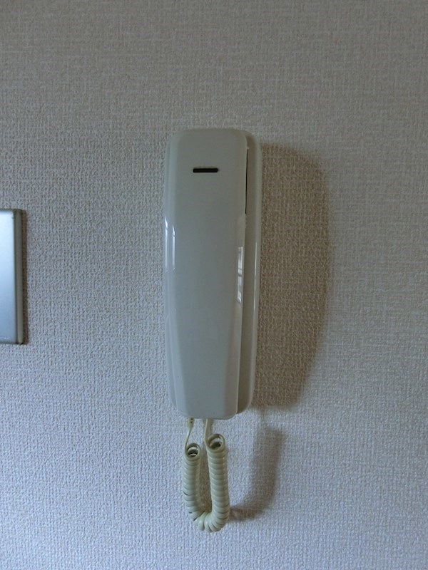 マンションルピナス   その他5