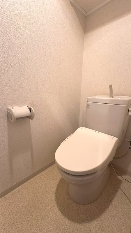 アウラ10 その他1