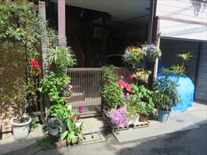 島田アパート  その他3