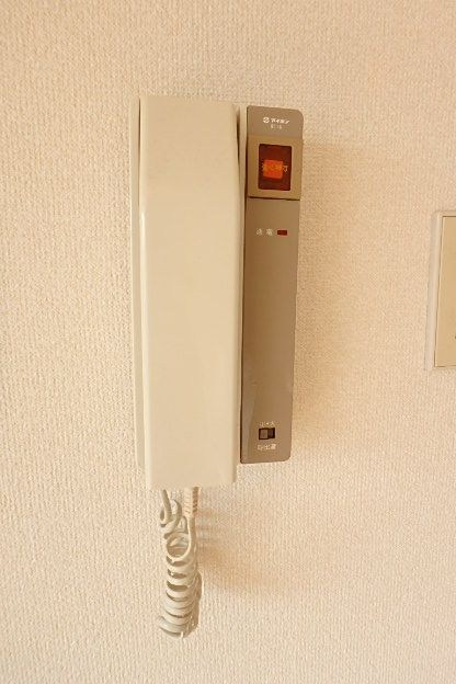 キャヴァンイワタ   その他1