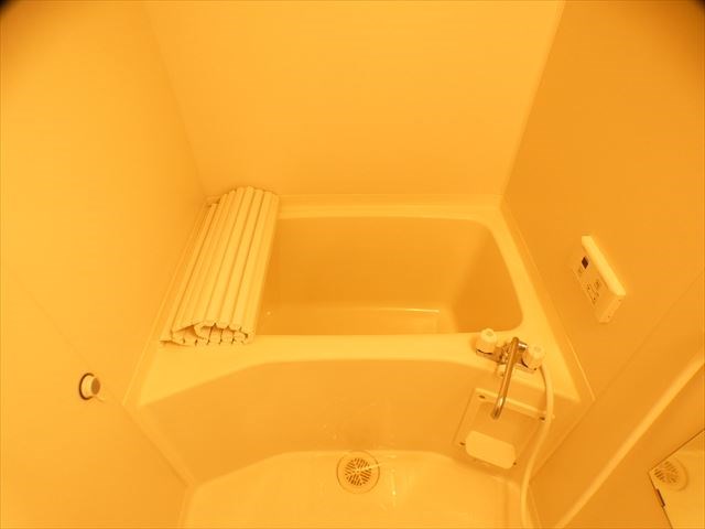 サンライズ田端Ⅰ     風呂画像