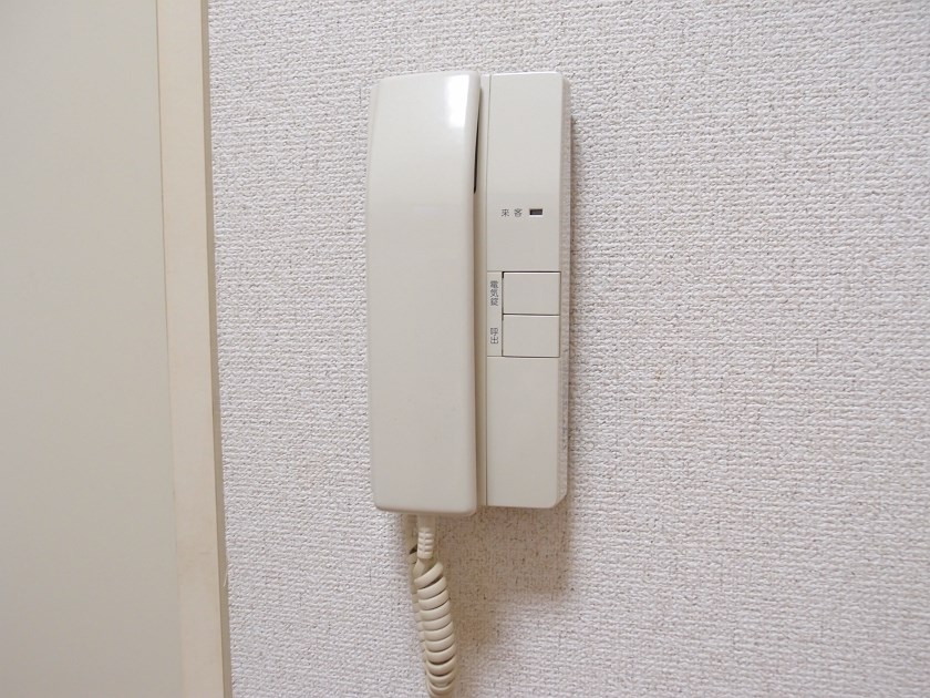オリーブ その他7
