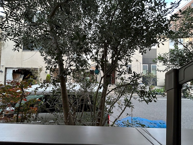 シルフィード その他5