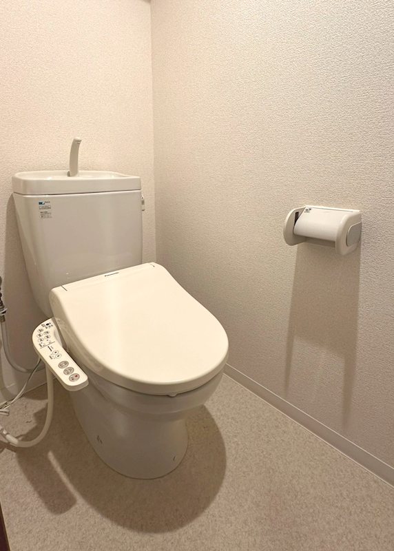 アウラ10 その他1