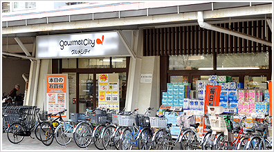 Daiwa Grace Maison 大島Ⅱ 周辺画像10
