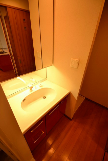 ロイヤルパークス新田  その他1