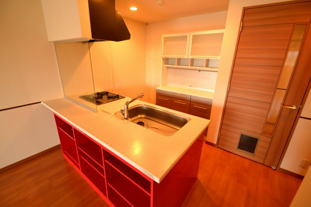 ロイヤルパークス新田  キッチン